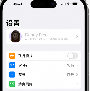 翁牛特appleID维修服务iPhone设置中Apple ID显示为灰色无法使用 