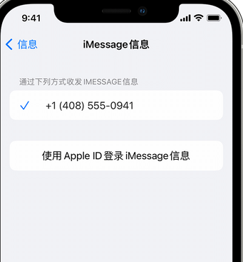 翁牛特apple维修iPhone上无法正常发送iMessage信息 