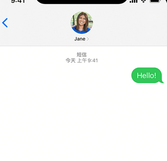 翁牛特apple维修iPhone上无法正常发送iMessage信息