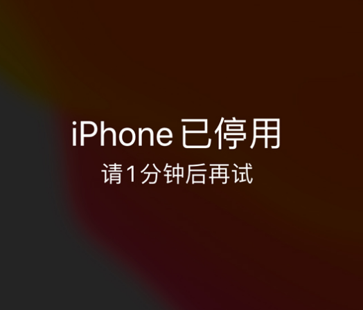 翁牛特苹果手机维修分享:iPhone 显示“不可用”或“已停用”怎么办？还能保留数据吗？ 