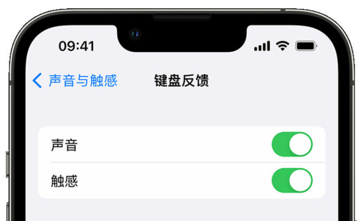 翁牛特苹果手机维修分享iPhone 14触感键盘使用方法 