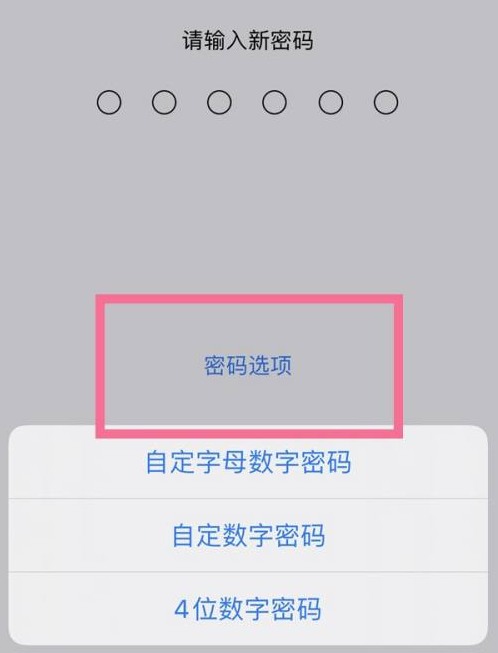 翁牛特苹果14维修分享iPhone 14plus设置密码的方法 