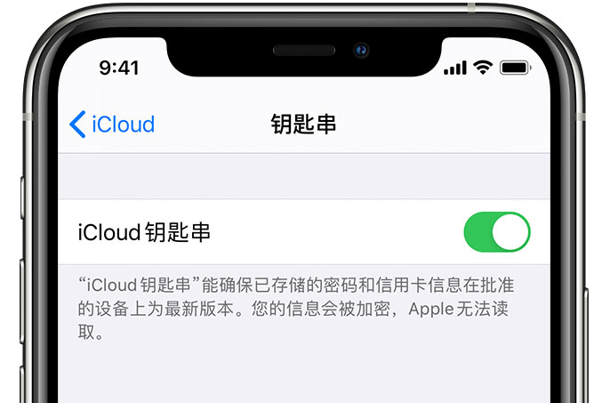 翁牛特苹果手机维修分享在 iPhone 上开启 iCloud 钥匙串之后会储存哪些信息 