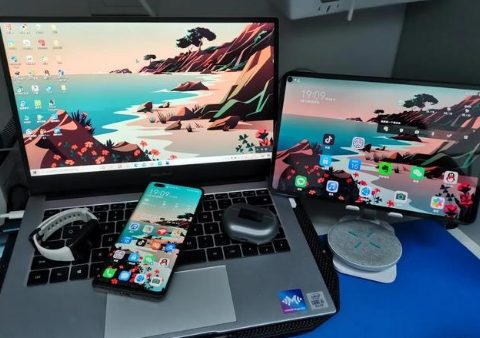 翁牛特苹果手机维修分享为什么iPad屏幕更大价格却比iPhone低 
