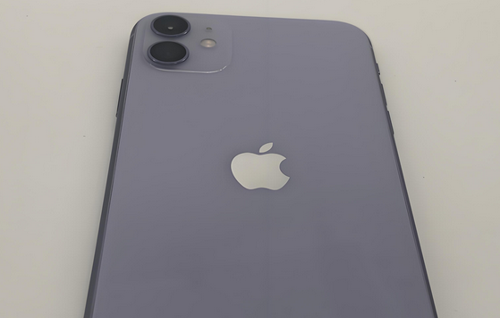 翁牛特苹果11系统维修分享iPhone11手机系统崩溃无法开机如何解决 